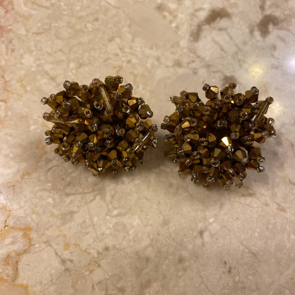 Earring and hair clip